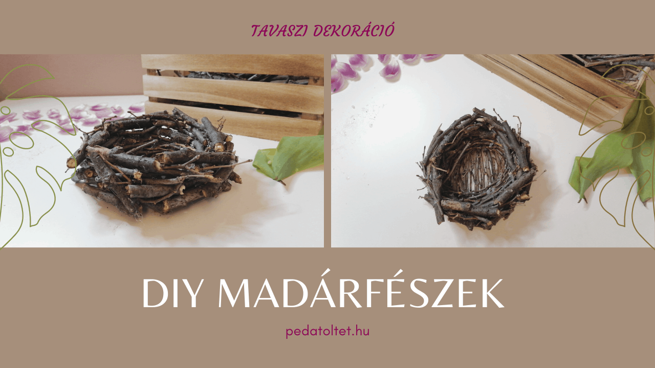Read more about the article DIY Madárfészek